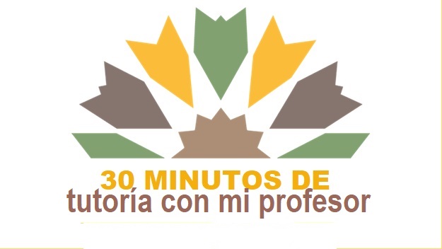 30-mitutos-de-tutoria-con-mi-profesor.jpg